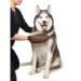 DGS Dirty Dog Grooming Handske