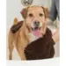 DGS Dirty Dog Shammy hundehåndklæde