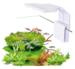 AquaLED Mini White 6W