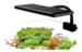 AquaLED Plant LP17 17W