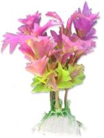 Lille plante i pink og grøn