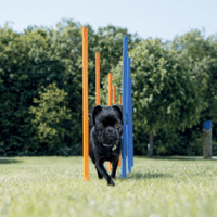 Trixie Agility Slalom