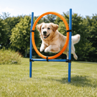 Trixie Agility Ring