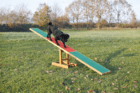 Trixie Agility Vippe