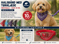 Halsbånd med tørklæde