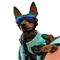 K9 Sport Shades – Beskyttelsesbriller