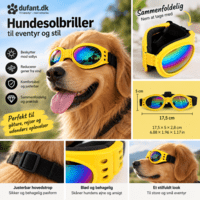 Hundesolbriller