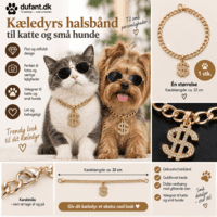 Dollar kædehalsbånd